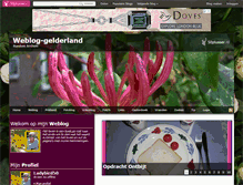 Tablet Screenshot of ladybird50.50plusser.nl